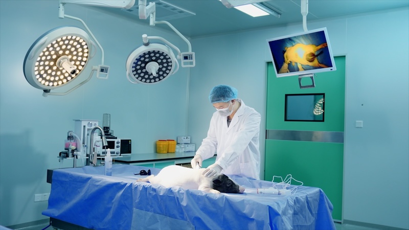 GLP Animal StudyLaboratory